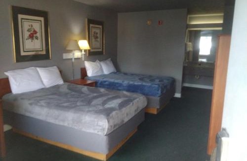 Livingston Apartamento | King Bed Hotel Studio 109