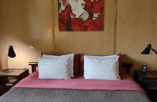 Spring Green Hotel | Estilo MCM - Habitación con cama king vista al jardín