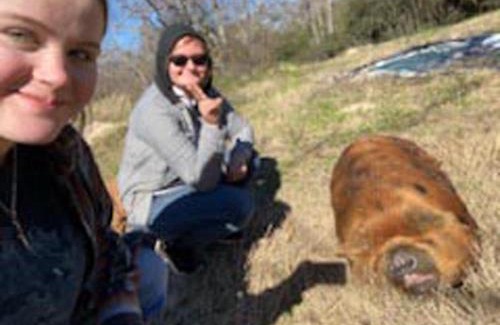 Palestine Otro | King Creole #3 - Glampsite at Farm and Bok Vegas Petting Zoo