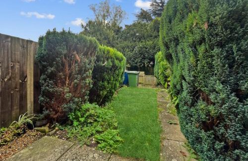 Sawston Casa | Kingfisher
