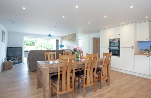 Bradninch Cabaña | Kingfisher Lodge - UK33889