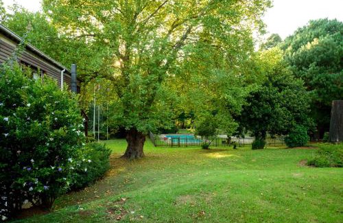 Hogsback Hotel | Kings Lodge Hotel