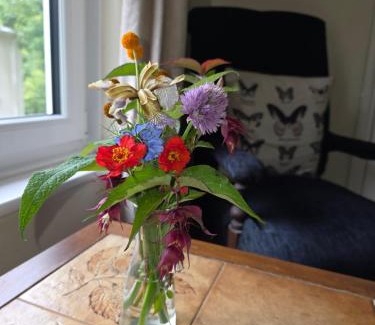 Ventnor Cama Y Desayuno | Kingsmede Bed & Breakfast