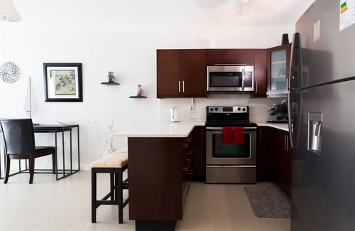 Havendale Apartamento | Kingston Luxury Guest Apt at Sullivan