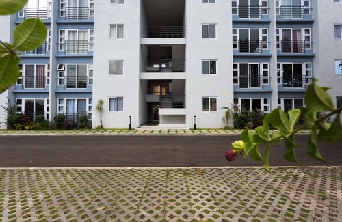 Havendale Apartamento | Kingston Luxury Guest Apt at Sullivan