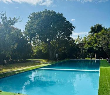 Bagamoyo Casa | Kiromo Zoo