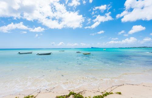 Pointe aux Canonniers Apartamento | Kisana Residence - Spacious studio with balcony, shared pool and garden
