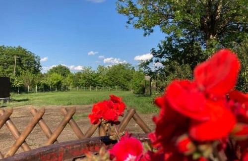 Deg Apartamento | Kisdió Vendégház