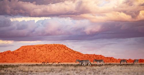 Kopanong Cabina | Kishindo Tiger Canyon Private Game Reserve