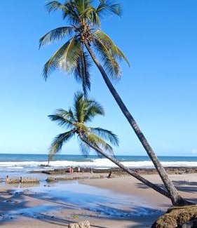 Pontal Casa | kitnet pé na areia reservado por sayonara