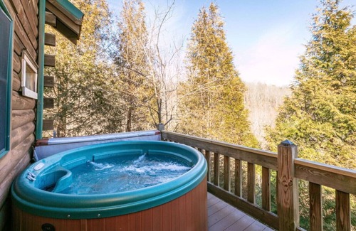 Old Fort Cabina | Kitty's Cabin - Hot tub! WiFi!