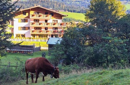 Hollersbach im Pinzgau Casa | KITZALPEN Pension