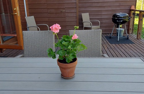 Rauha Apartamento | Kiurun Villas