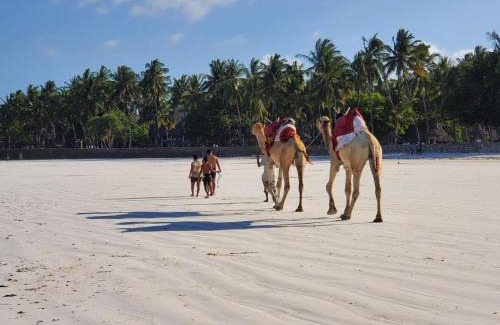 Galu Casa | Kivuli villas Diani ,located 2 minutes walk to the White sandy Diani Beach