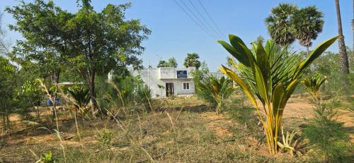 Karaikudi Casa | KK Dream Garden