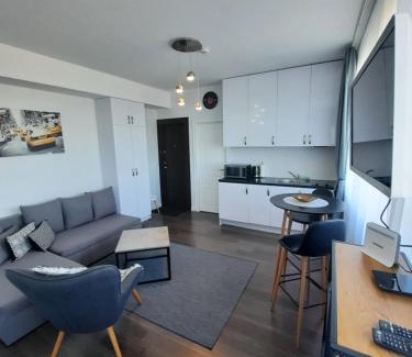 Klaipeda Apartamento | Klaipėda city panoramic view