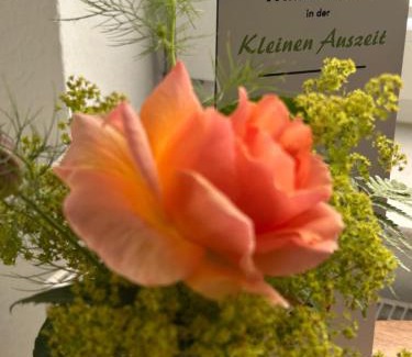 Mengershausen Apartamento | Kleine Auszeit