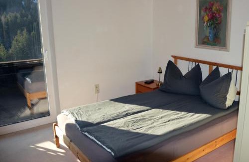 Koppl Apartamento | Kleine einfache Ferienwohnung in malerischer Umgebung Salzburgs