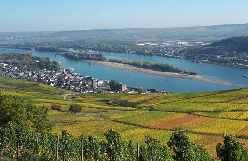 Ruedesheim am Rhein Condominio | Kleine Ferienwohnung in Toller Lage Direkt am Niederwald