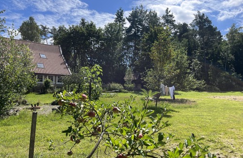 Detmold Apartamento | Kleine Ferienwohnung mit Kaminofen Mitten im Grünen