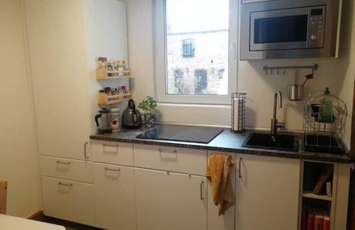 Steinhoefel Apartamento | Kleine Galerie: Küche Kamin Netflix Hofladen