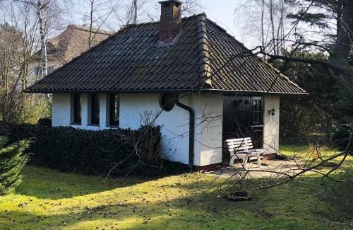 Nebel Casa | Kleiner Wattprinz