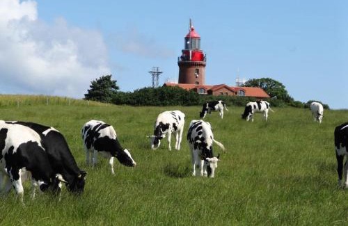 Hohen Niendorf Casa | Kleinis Ferienhof Hohen Niendorf bei Ostseebad Kühlungsborn