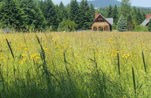 Klimkowka Cabina | Klimkowskie Zacisze - domek całoroczny