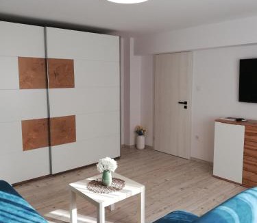 Sfantu Gheorghe Apartamento | KM Art Apartman