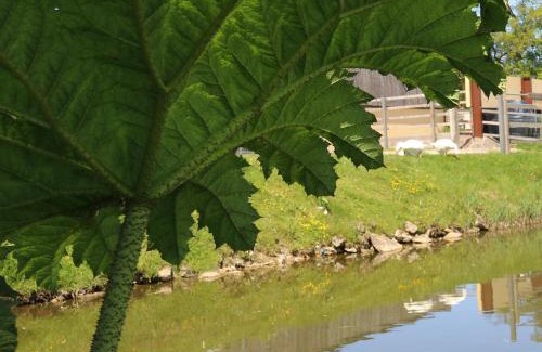 Corscombe Otro | Knapp Farm Glamping Lodge 1