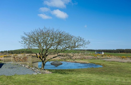 Stranraer Cama Y Desayuno | Knockniemoak Bed and Breakfast