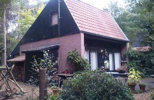 Overloon Cabaña | Knus Huisje in het bos