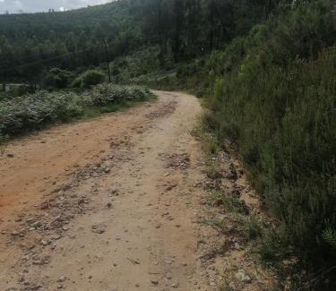 Knysna Casa | Knysna Tranquil 3 Bedroom Cabin