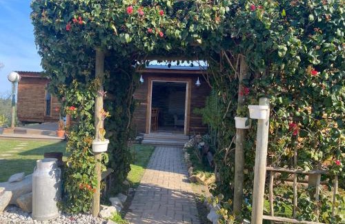 Knysna Casa | Knysna Tranquil 3 Bedroom Cabin
