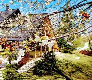 Moravske Toplice Casa | Koča na samem