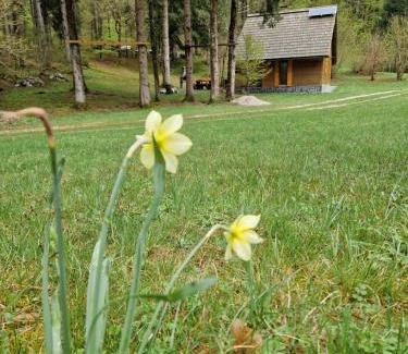 Bled Apartamento | Koča v gozdu, Forest house near Bled