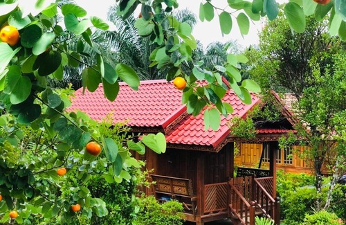 Sao Phao Cama Y Desayuno | KOB SUK RESORT k7 , k10