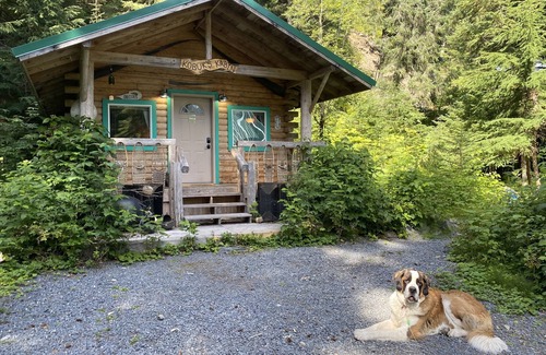 Bear Creek Cabina | Kobuk’s Kabin - Cozy and Dog-Friendly