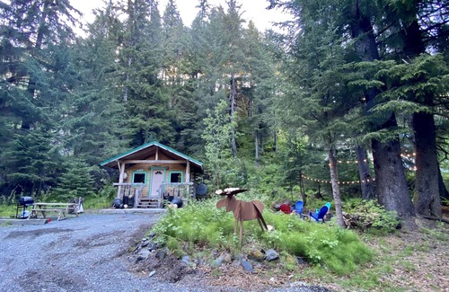 Bear Creek Cabina | Kobuk’s Kabin - Cozy and Dog-Friendly