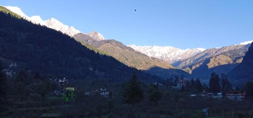 Manali Hotel | KojaHotelManali