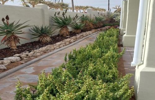 Vanrhynsdorp Casa | Kokerboom House