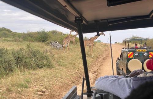 Nairobi Otro | Koki Lodge