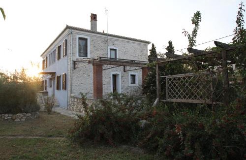 Toxotes Casa | Kokkymelon