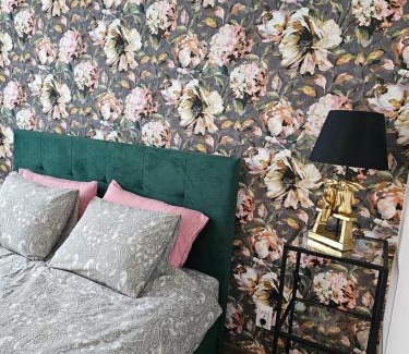 Koknese Apartamento | Koknese City Apartment