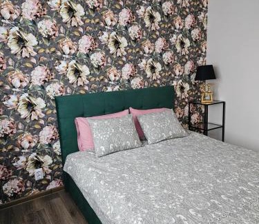 Koknese Apartamento | Koknese City Apartment