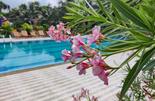 Gazipur Complejo | Kokomo Sunset Resort