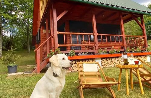 Mrkopalj Chalet De Esquí | Koliba Šume Pjevaju - robinzonski smjestaj, struja 12 V, voda iz cisterne