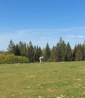 Konjska Reka Casa | Koliba Liška