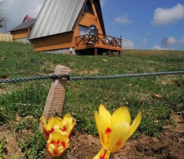 Zabljak Chalet De Esquí | Koliba Luča Smrčevo Brdo