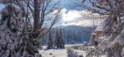 Konjska Reka Chalet De Esquí | Koliba Vuk